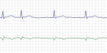 n12c thumbnail